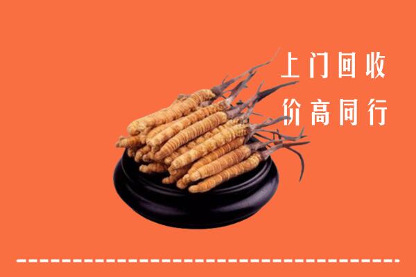 附近收购：广阳区冬虫夏草回收多少钱每克