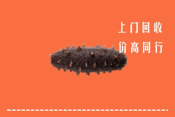 附近收购：广阳区回收海参