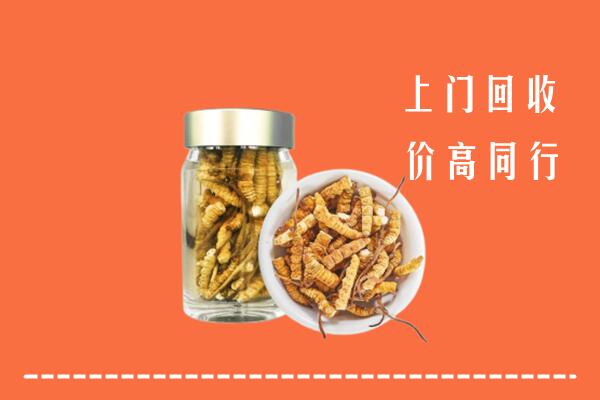 广阳区回收冬虫夏草