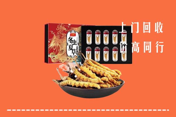 广阳区回收虫草